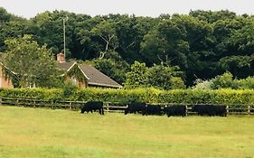 Yellowham Farm, Dorchester