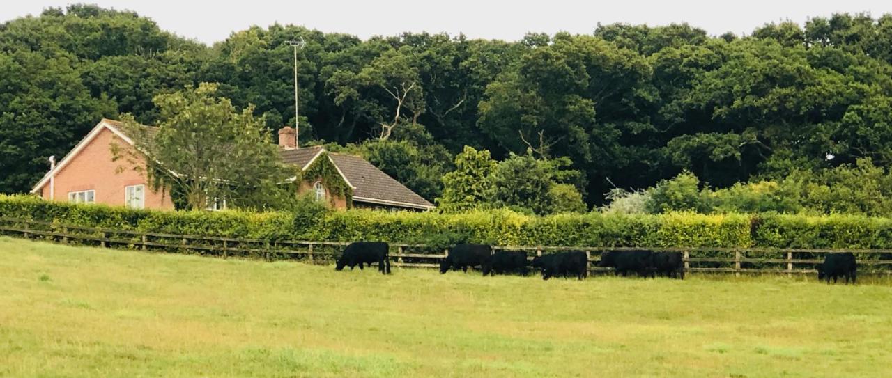 Yellowham Farm, Dorchester Higher Bockhampton Buitenkant foto