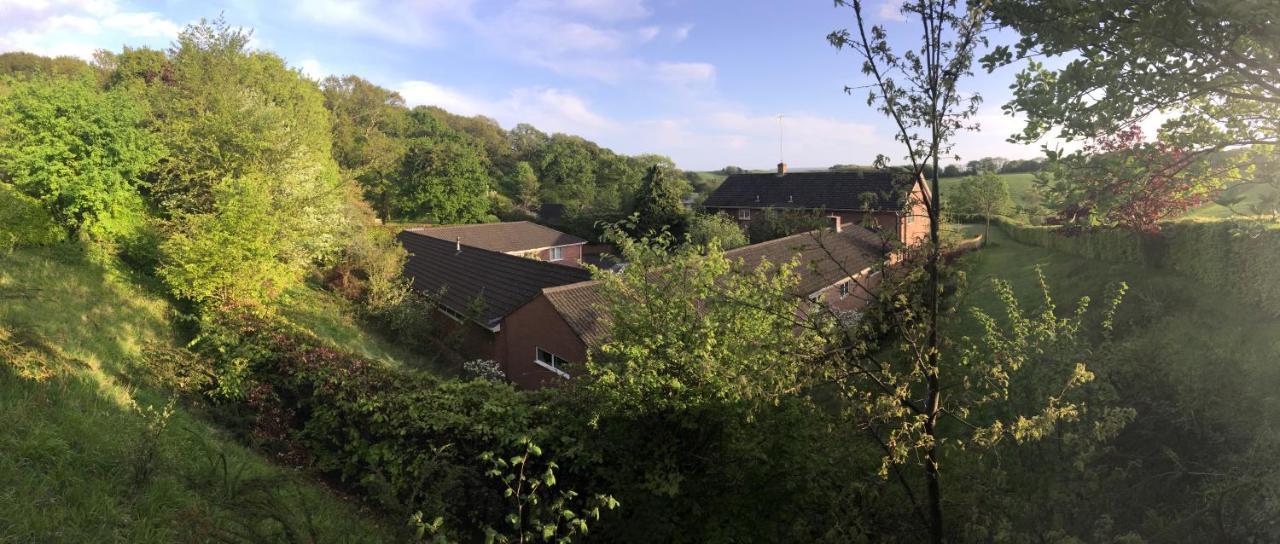 Yellowham Farm, Dorchester Higher Bockhampton Buitenkant foto