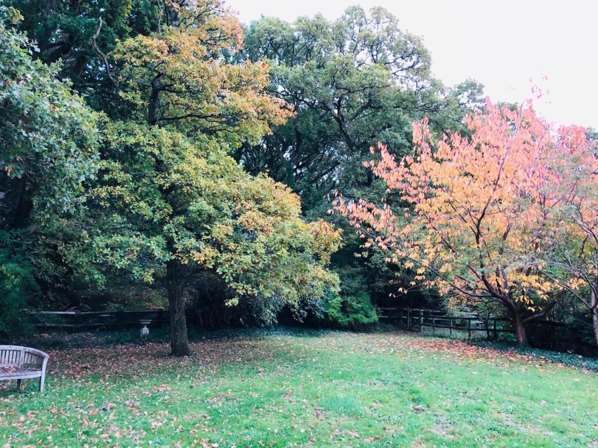 Yellowham Farm, Dorchester Higher Bockhampton Buitenkant foto